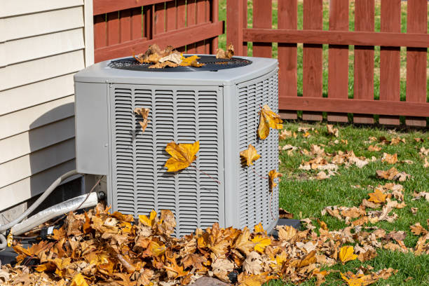 Best HVAC system installation  in Cokato, MN
